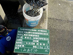 2025Nݏグ