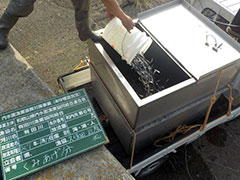 2025Nݏグ
