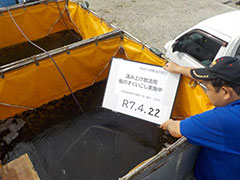 2025Nݏグ
