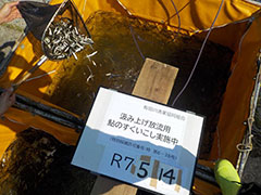 2025N4ڂ̋ݏグ